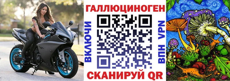 Псилоцибиновые грибы мицелий  Моздок 